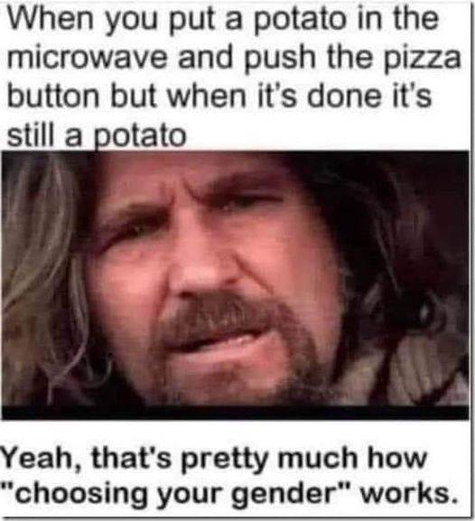 419905275101594122778572605252273659994144808n