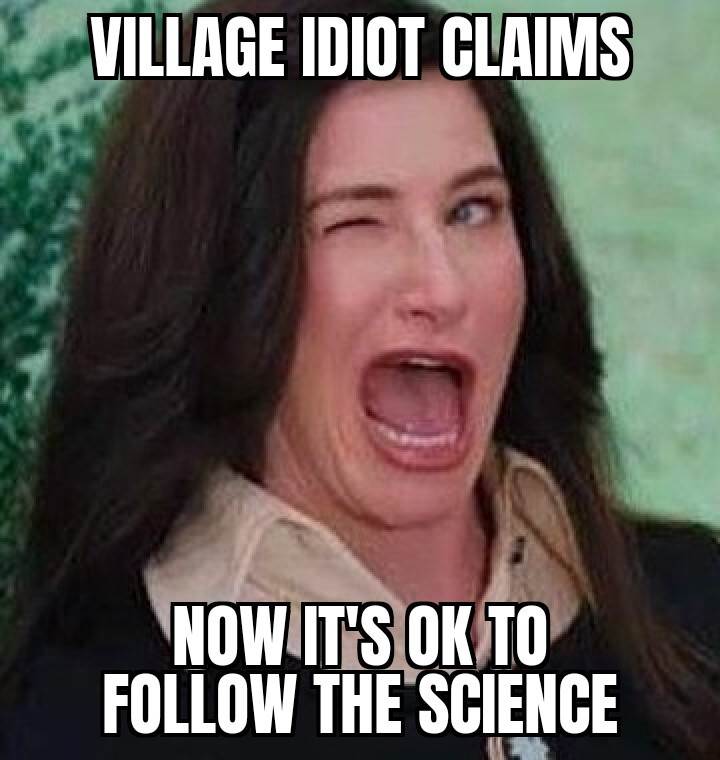 village idiot(1)