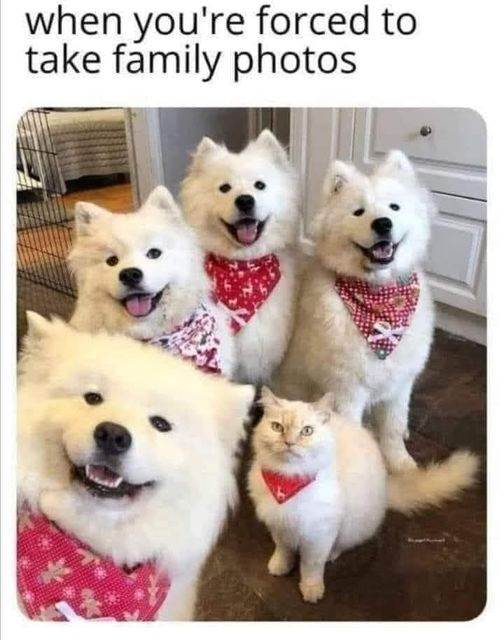 family