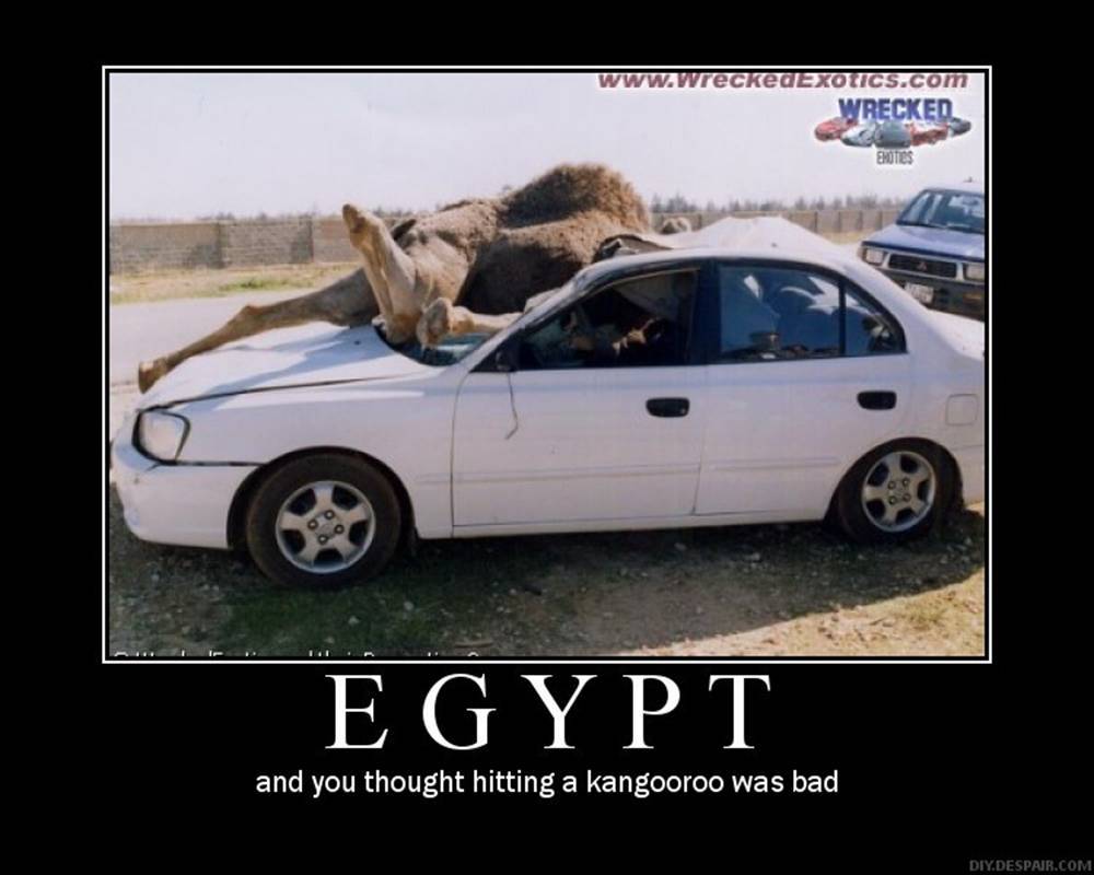 camel right of way