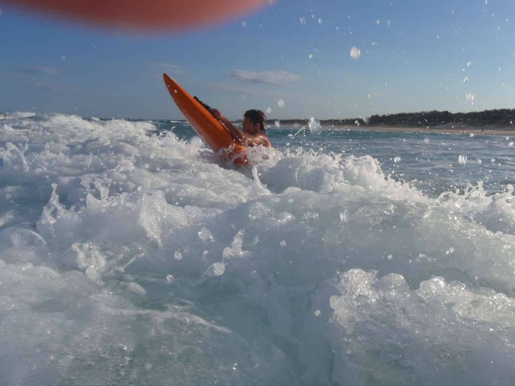 Nipper in action
