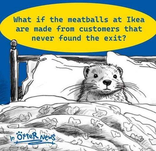 funny image