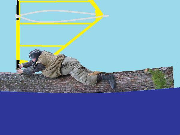 tree2