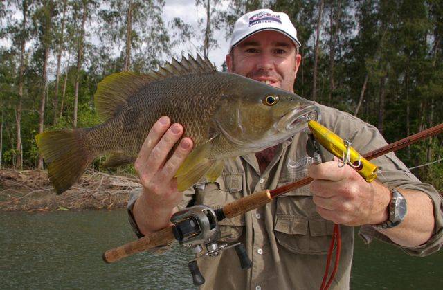 Black Bass in PNG (May 2009)
