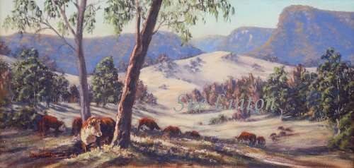 Sue paintings