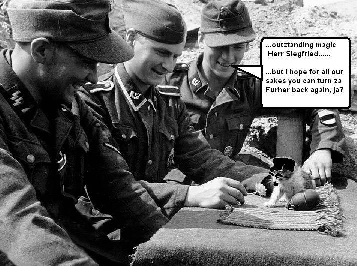 cat on mat fuhrer
