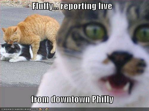 kitty luv time