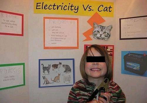 10 wtf but funny pictrues 7