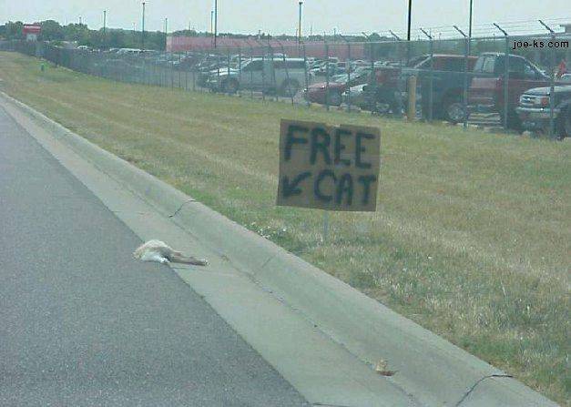 FreeCat