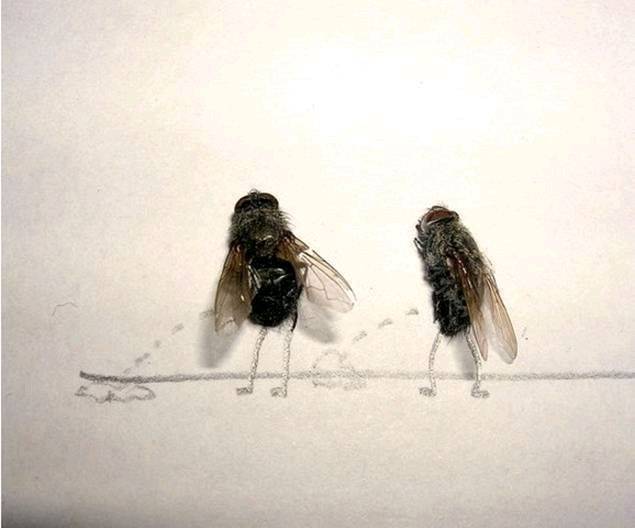 image003
