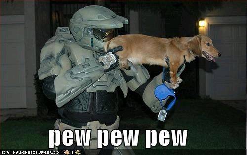 halo-dog-pew