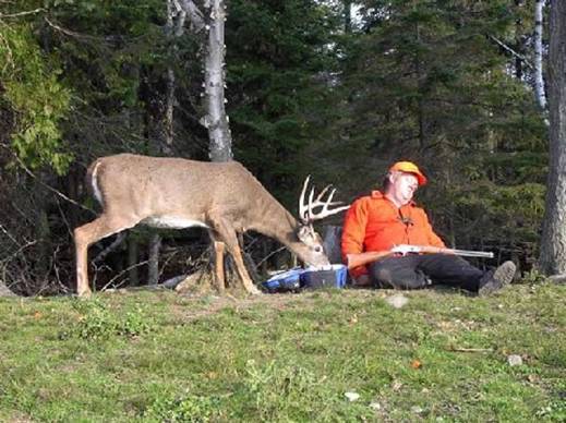 Deer hunter sleeping