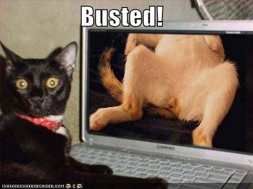 busted