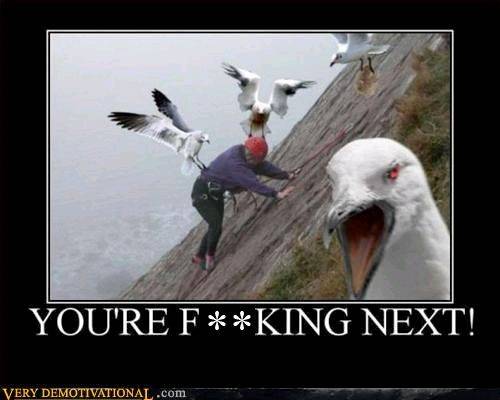 yernextp1