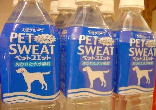 petsweat