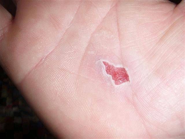 P8140019 (Small)