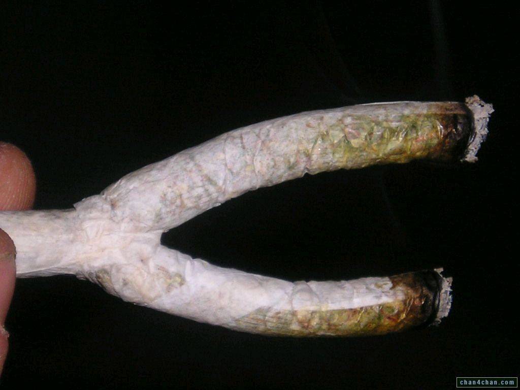 joint
