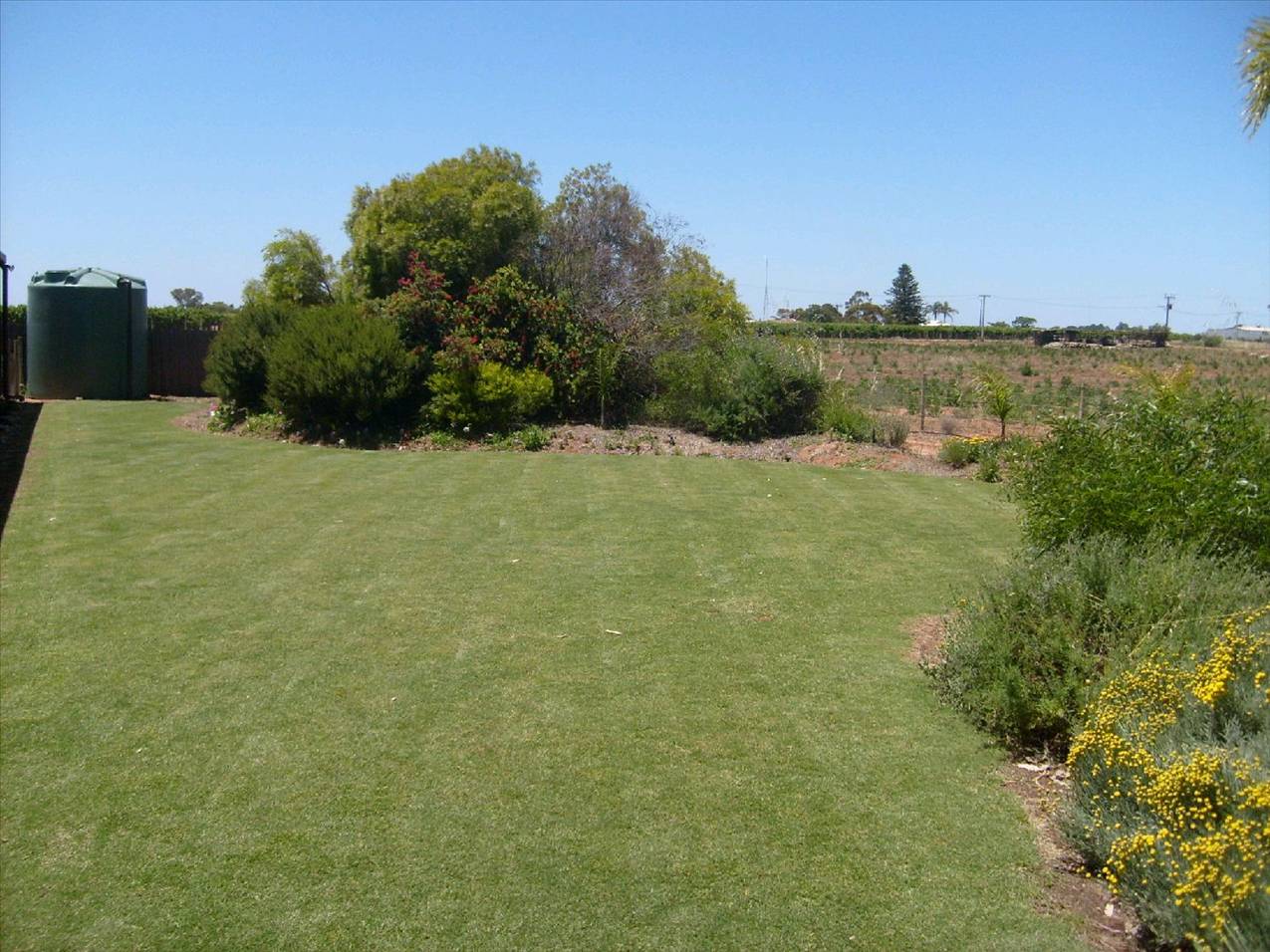 lawn2