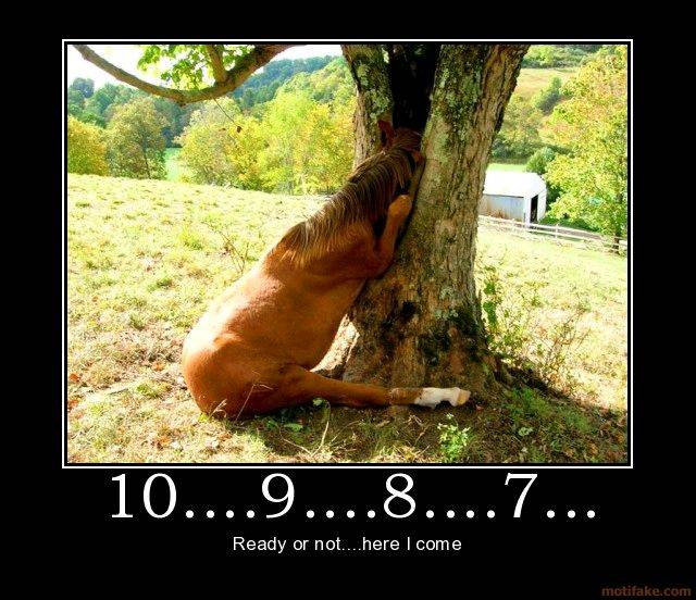 horse