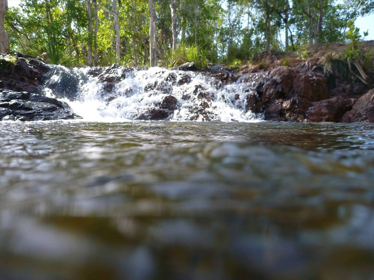 water hole