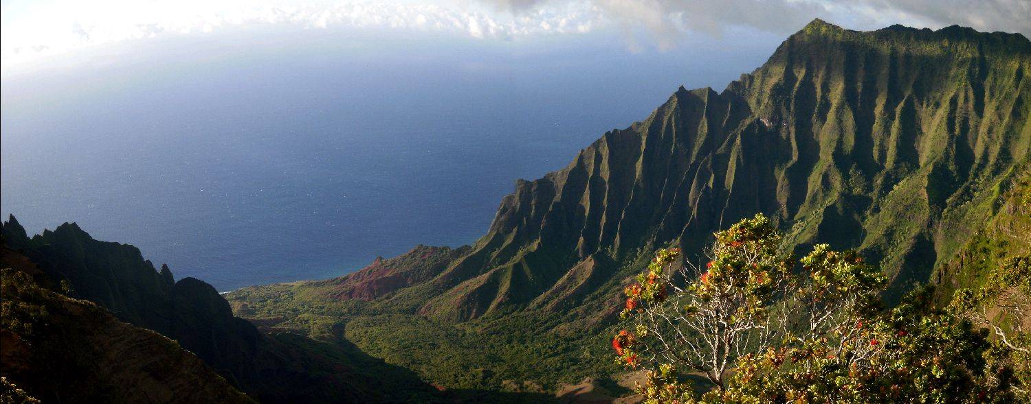 Kalalau pan