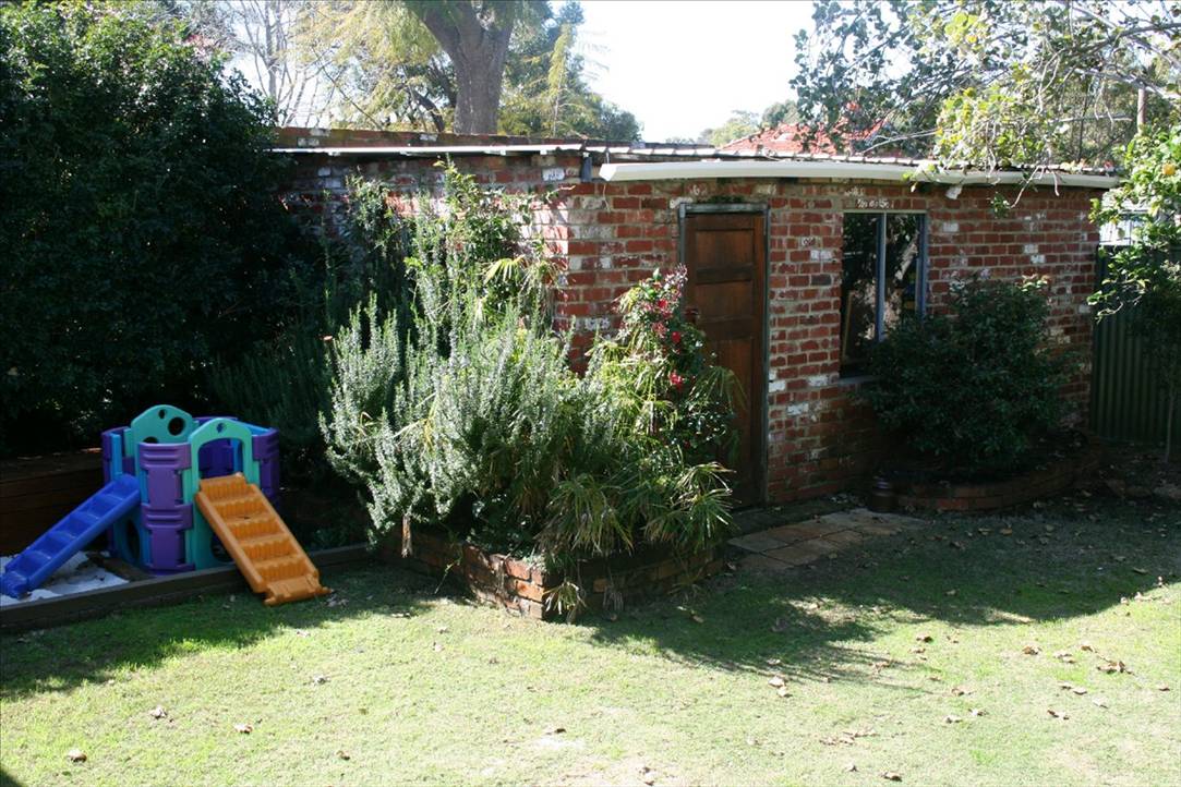 Shed