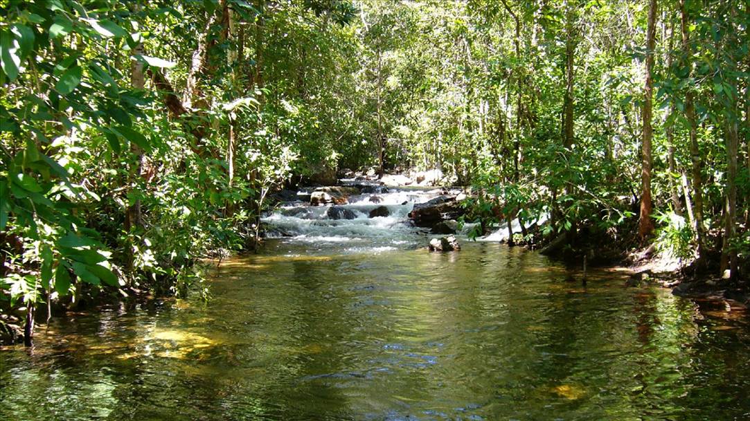 P1000266
