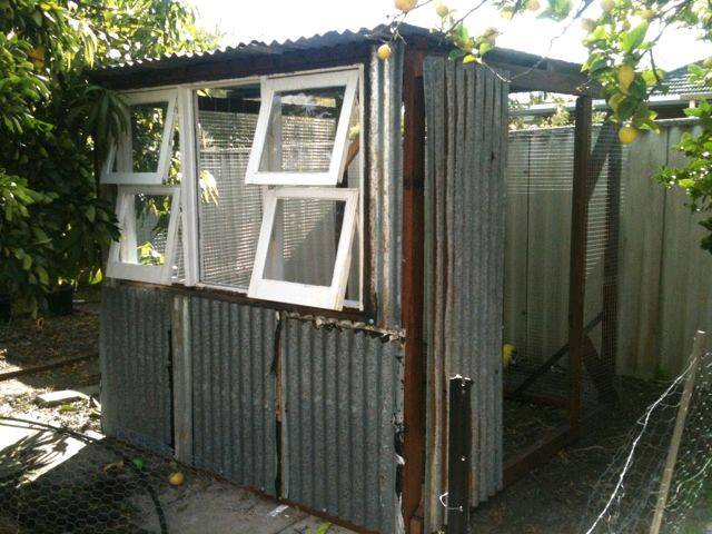 chook house