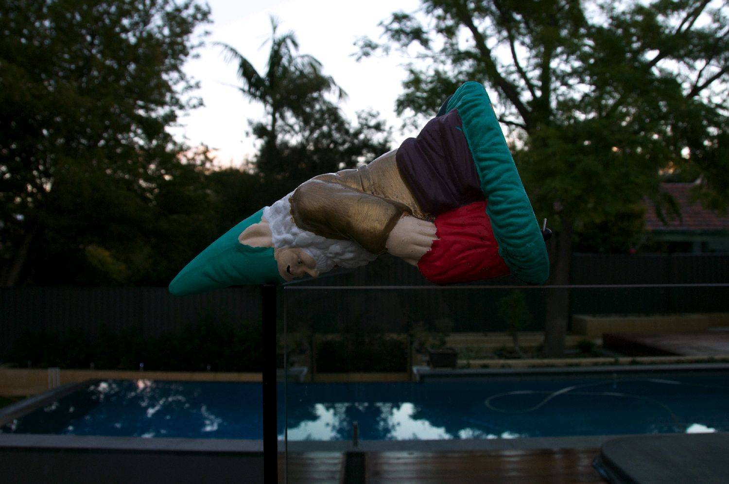 Plankagnome