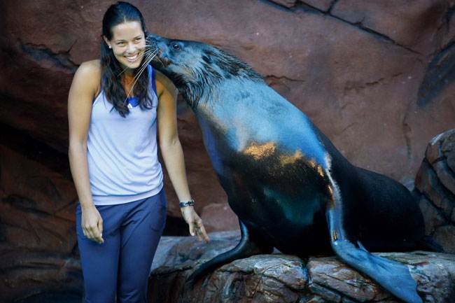 Ana Ivanovic seal kiss