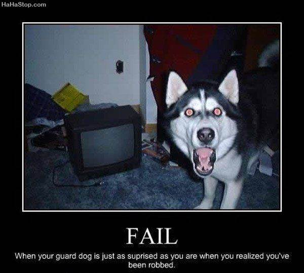 for Doggie