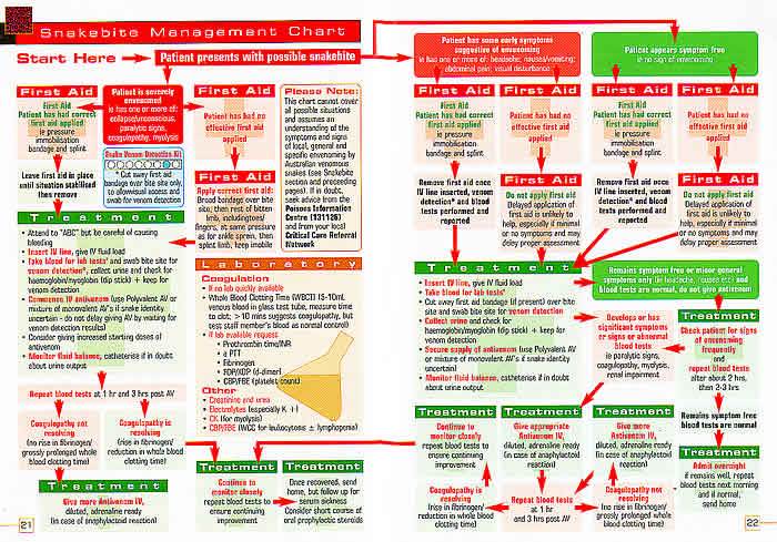 Flow Chart Significato