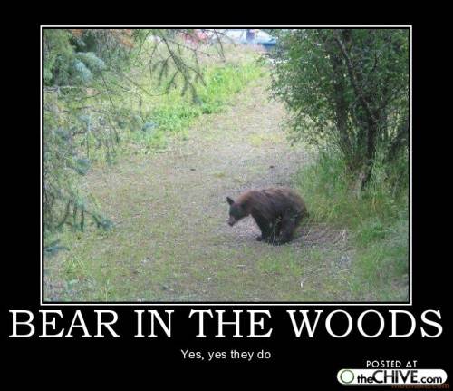 DoesAWildBear