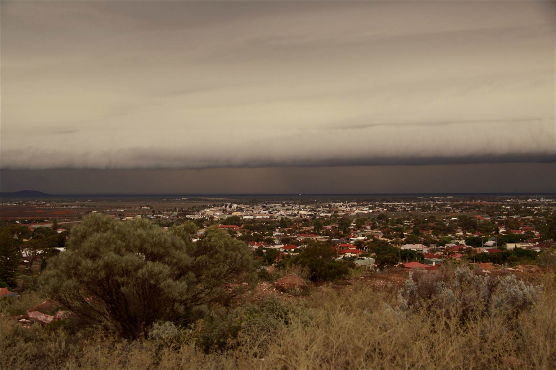 Summer Storm