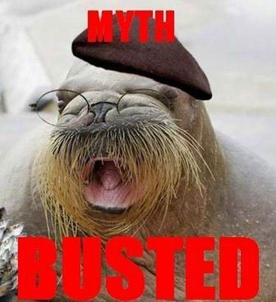 daily picdump 542 640 67