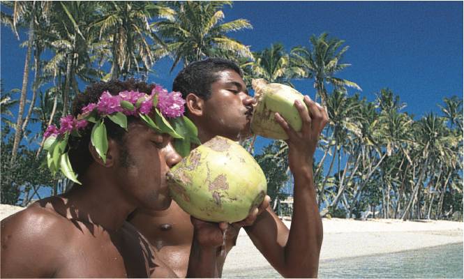 Island boys driking fresh coconuts