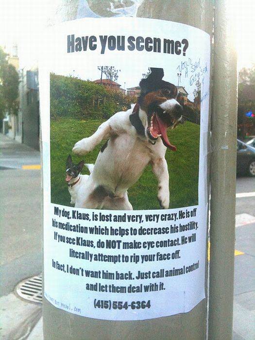 Funny-lost-missing-signs19