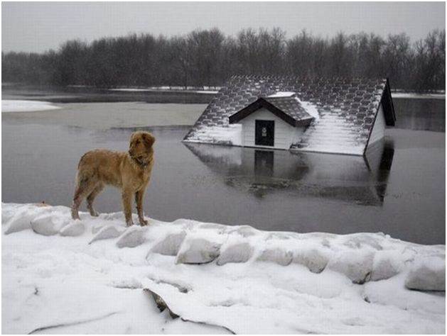 snow