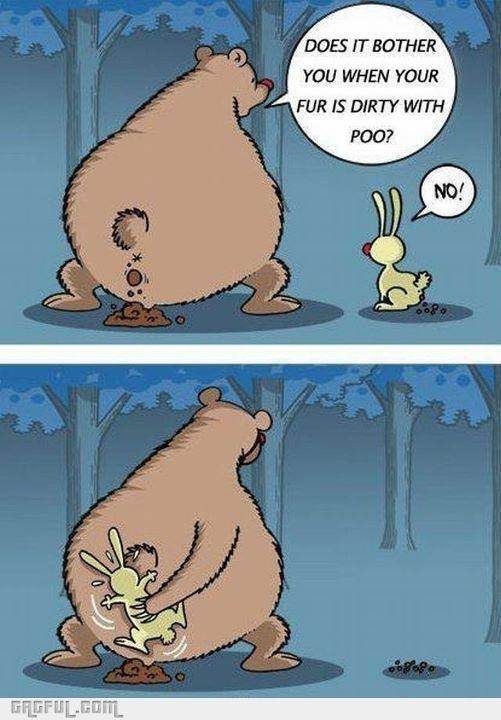 Fur dirty with poo