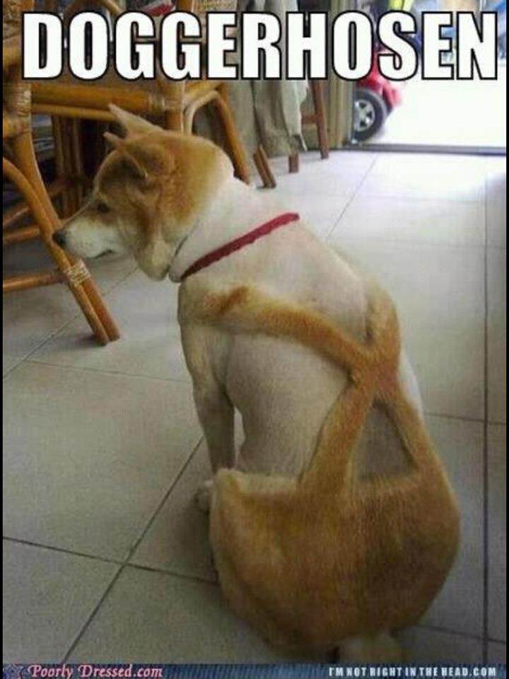 doggerhosen