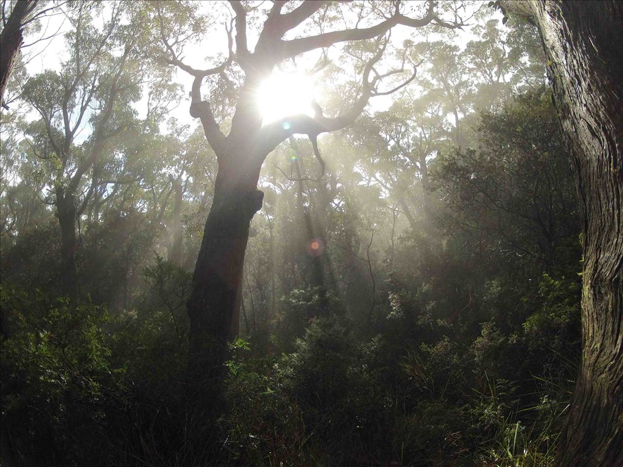 tasmania