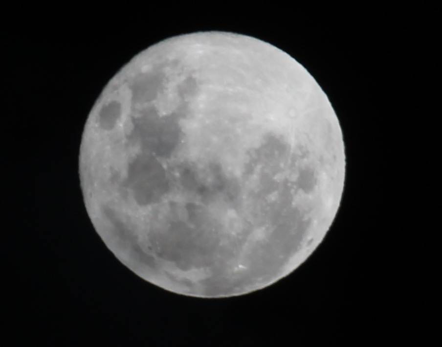 MOON