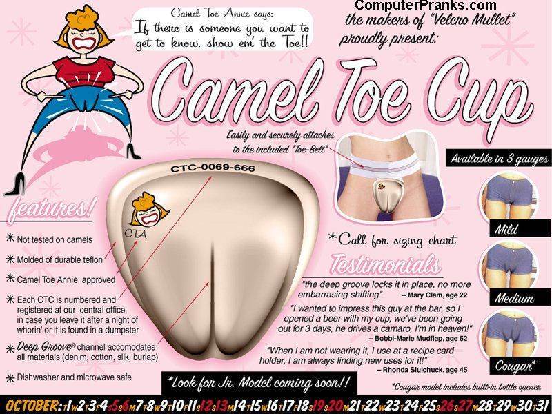 camel toe