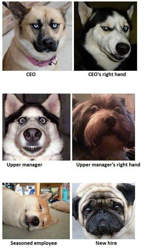 office 01