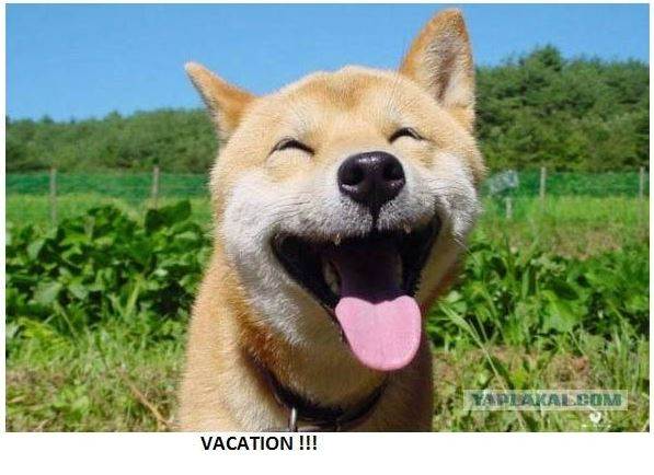 office 18