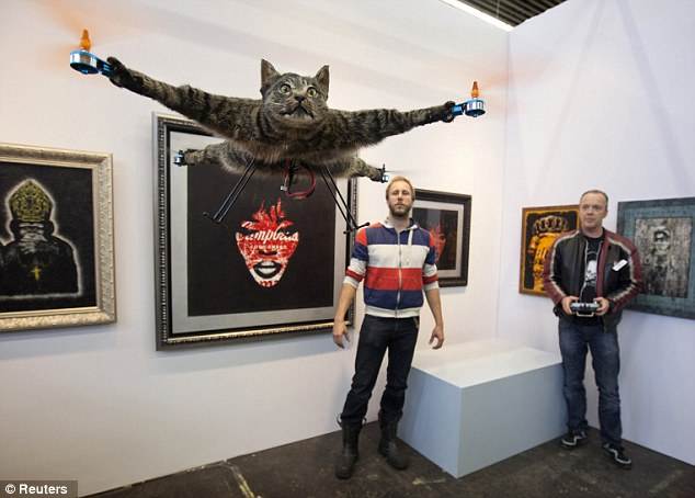flying cat 2