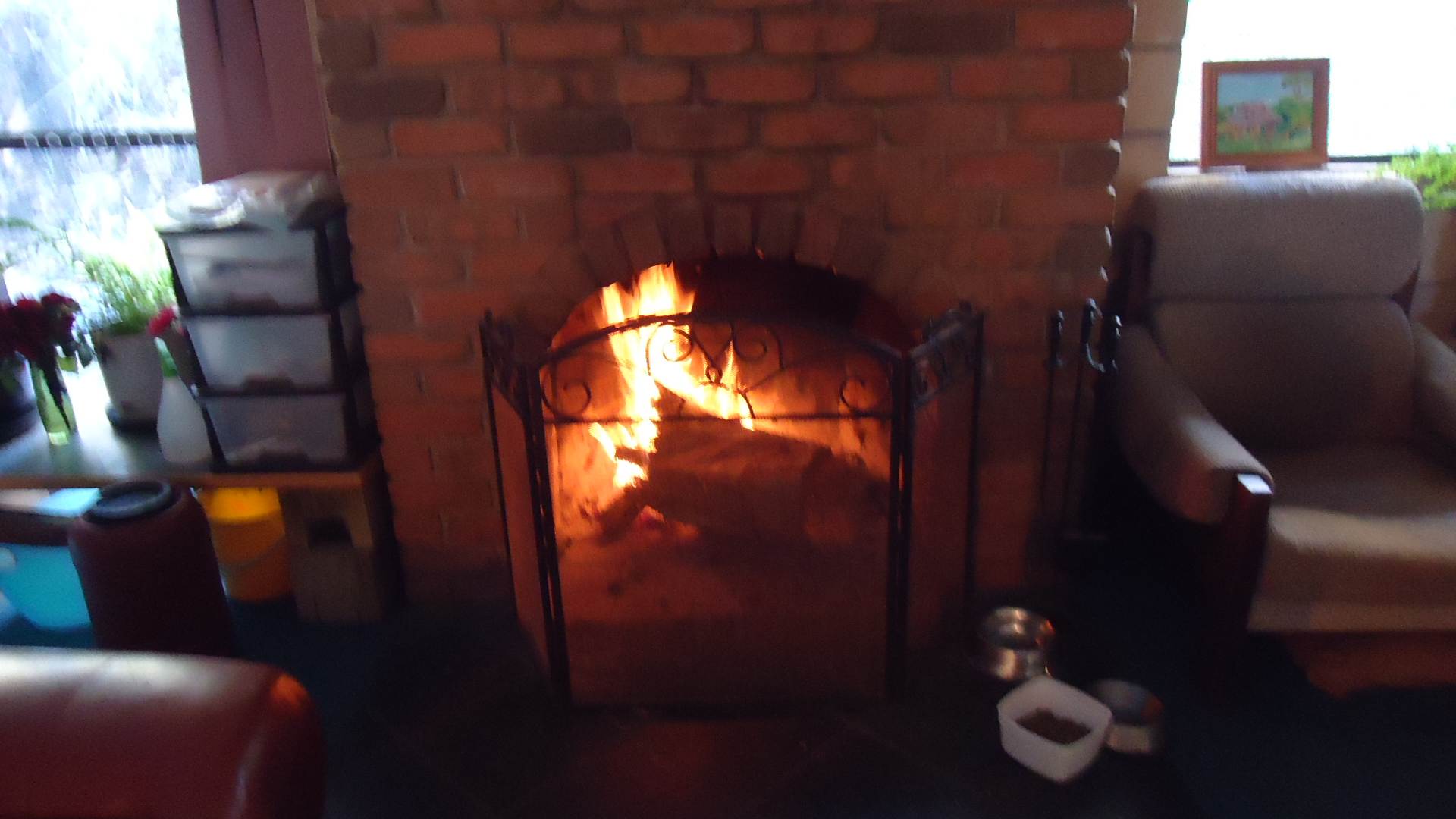 DSC00311
