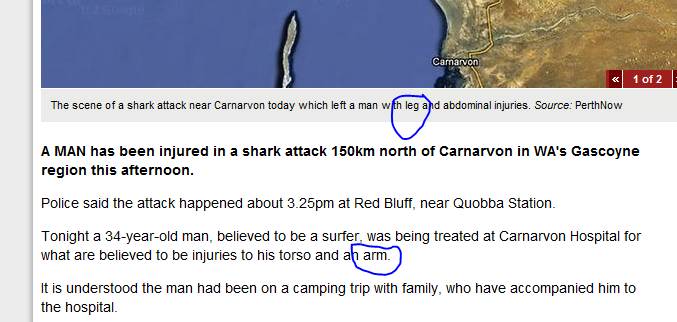 shark attack