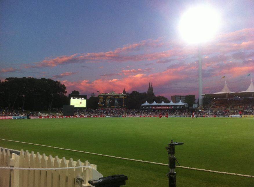 night cricket