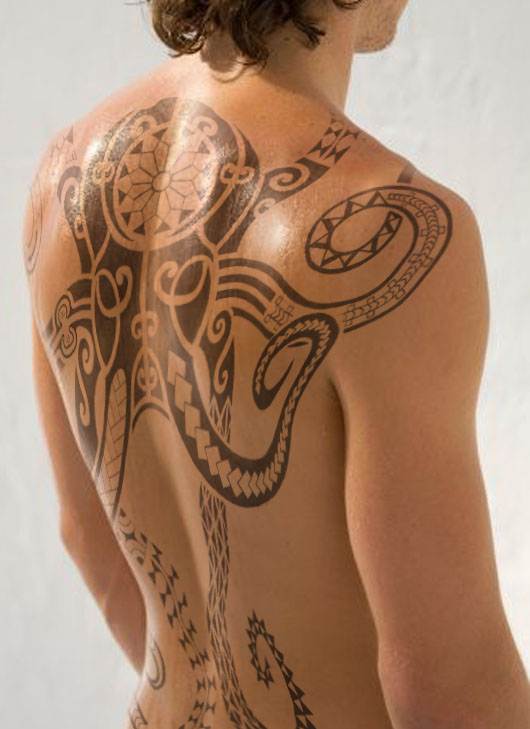octopus